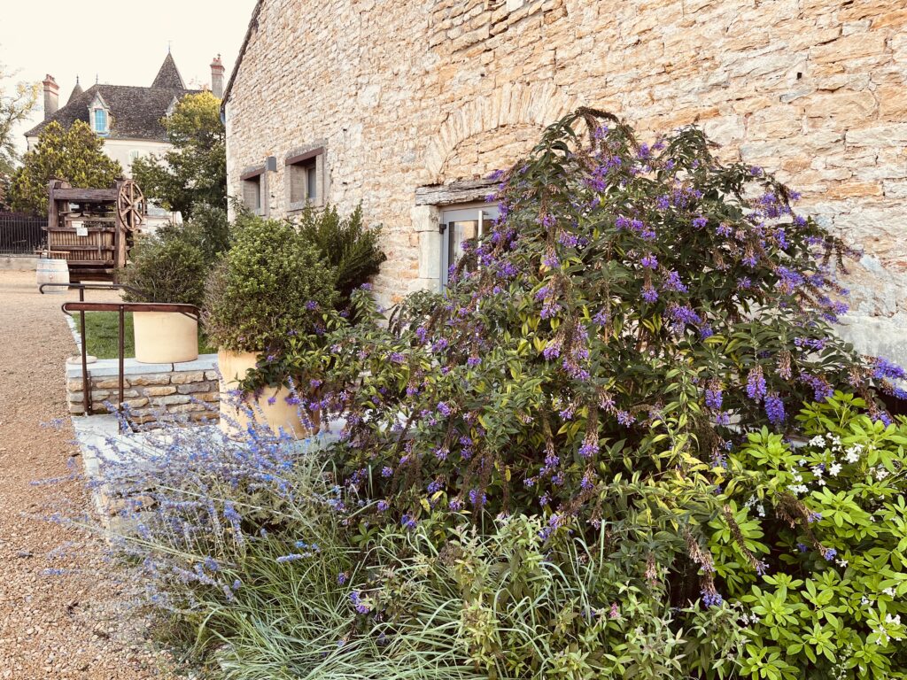 chateau mariage bourgogne
